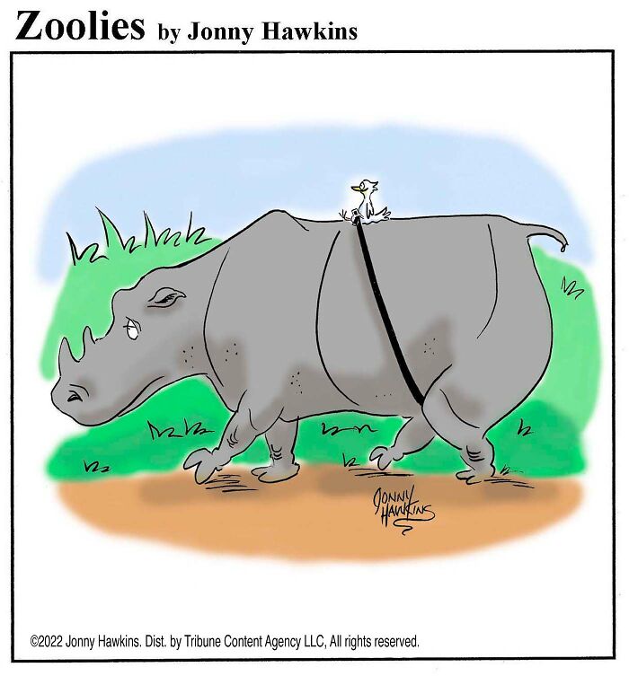33 Silent Animal Comics By Jonny Hawkins That Don’t Need Words To Make You Laugh