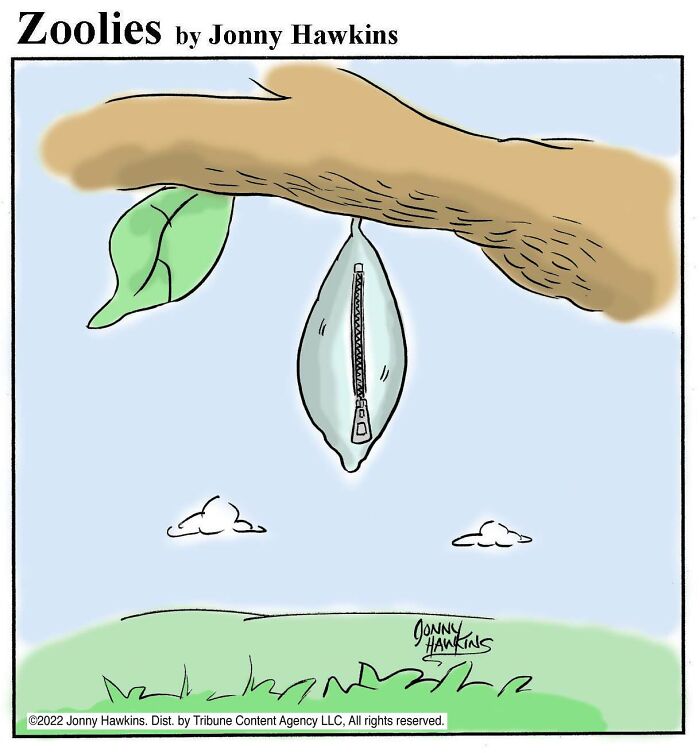 33 Silent Animal Comics By Jonny Hawkins That Don’t Need Words To Make You Laugh