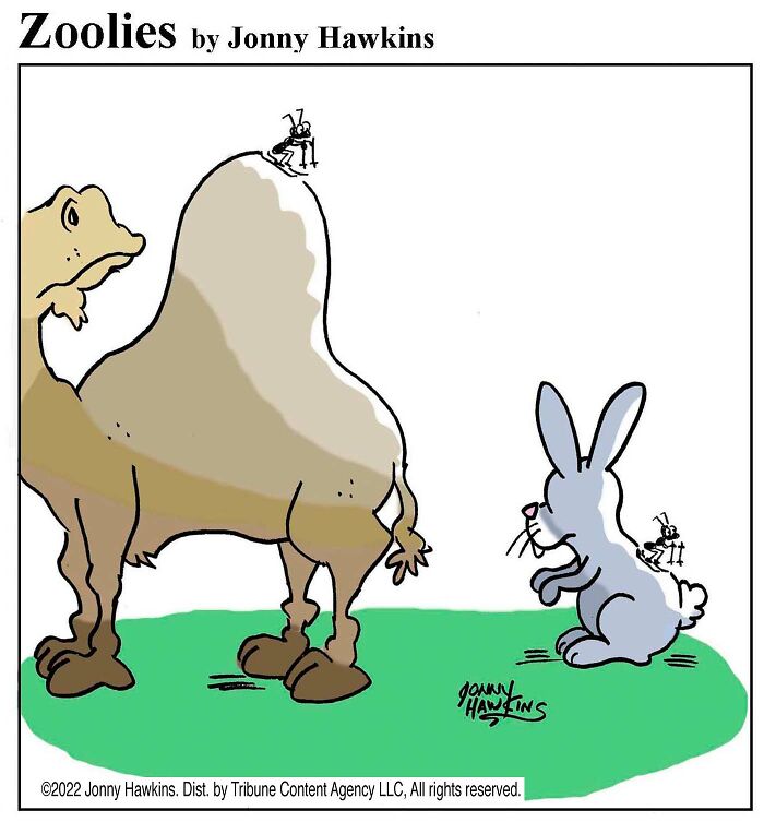 33 Silent Animal Comics By Jonny Hawkins That Don’t Need Words To Make You Laugh