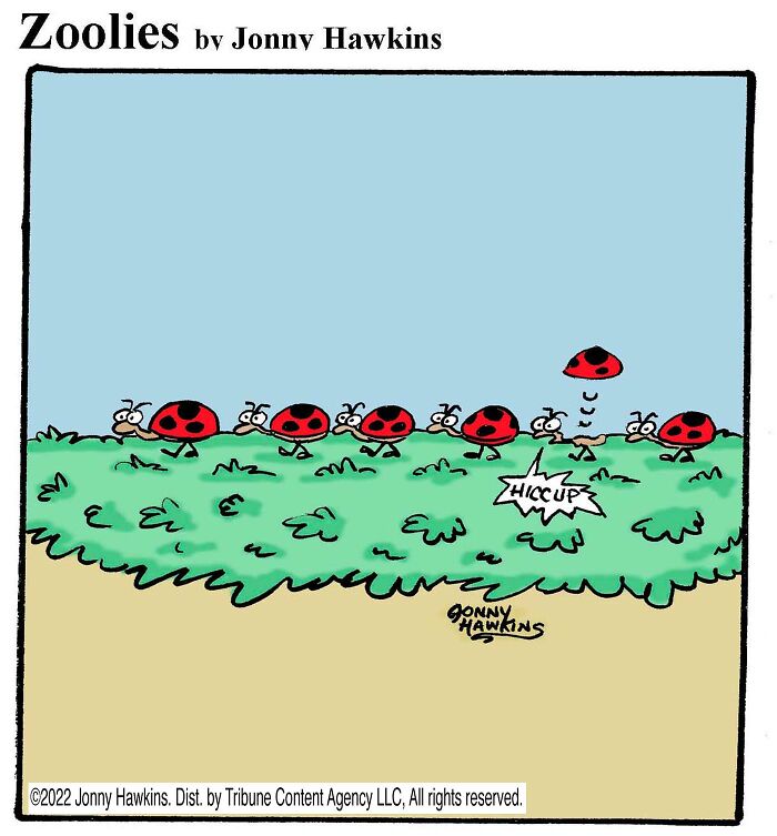 33 Silent Animal Comics By Jonny Hawkins That Don’t Need Words To Make You Laugh