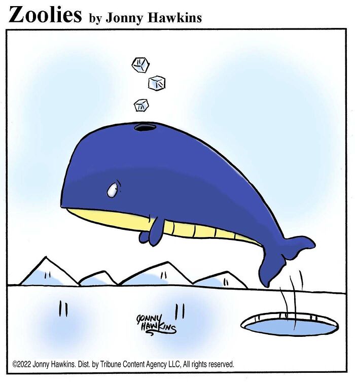 33 Silent Animal Comics By Jonny Hawkins That Don’t Need Words To Make You Laugh
