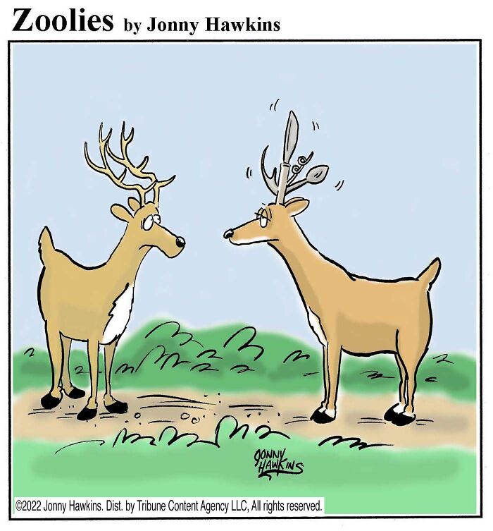 33 Silent Animal Comics By Jonny Hawkins That Don’t Need Words To Make You Laugh