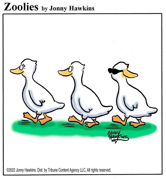 33 Silent Animal Comics By Jonny Hawkins That Don’t Need Words To Make You Laugh