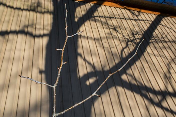31 Serendipitous Moments Captured In Everyday Life By This Street Photographer (New Pics)