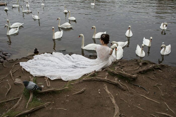 31 Serendipitous Moments Captured In Everyday Life By This Street Photographer (New Pics)