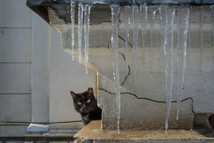 31 Serendipitous Moments Captured In Everyday Life By This Street Photographer (New Pics)