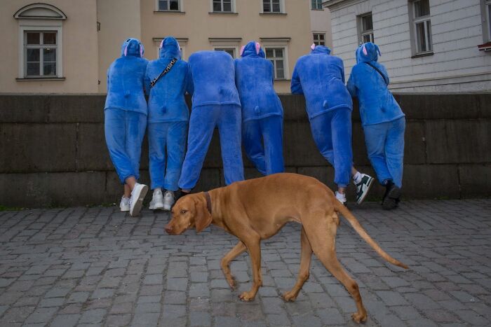 31 Serendipitous Moments Captured In Everyday Life By This Street Photographer (New Pics)
