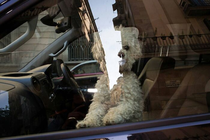 31 Serendipitous Moments Captured In Everyday Life By This Street Photographer (New Pics)