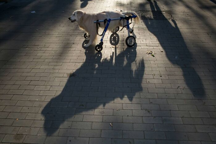 31 Serendipitous Moments Captured In Everyday Life By This Street Photographer (New Pics)