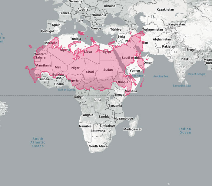Woman Shows The Actual Scale Of The Continents, And It’s Crazier Than You Think