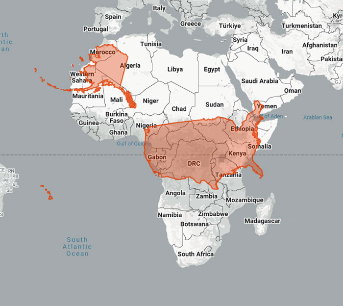 Woman Shows The Actual Scale Of The Continents, And It’s Crazier Than You Think
