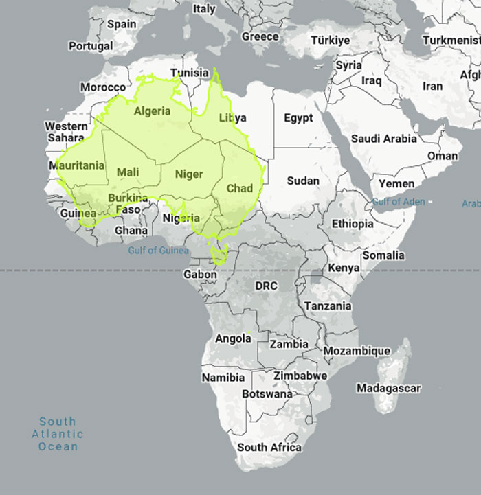 Woman Shows The Actual Scale Of The Continents, And It’s Crazier Than You Think