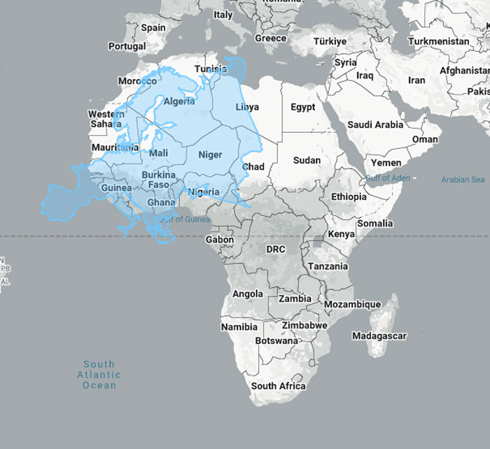 Woman Shows The Actual Scale Of The Continents, And It’s Crazier Than You Think