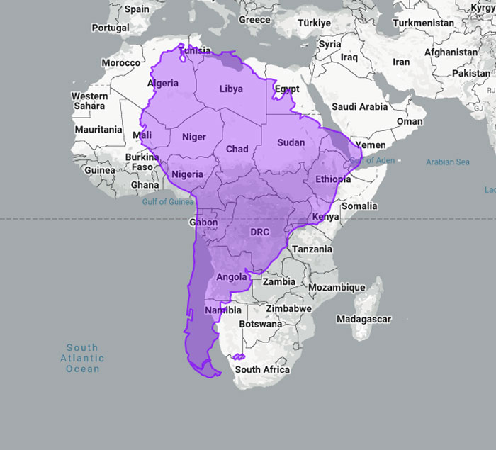 Woman Shows The Actual Scale Of The Continents, And It’s Crazier Than You Think