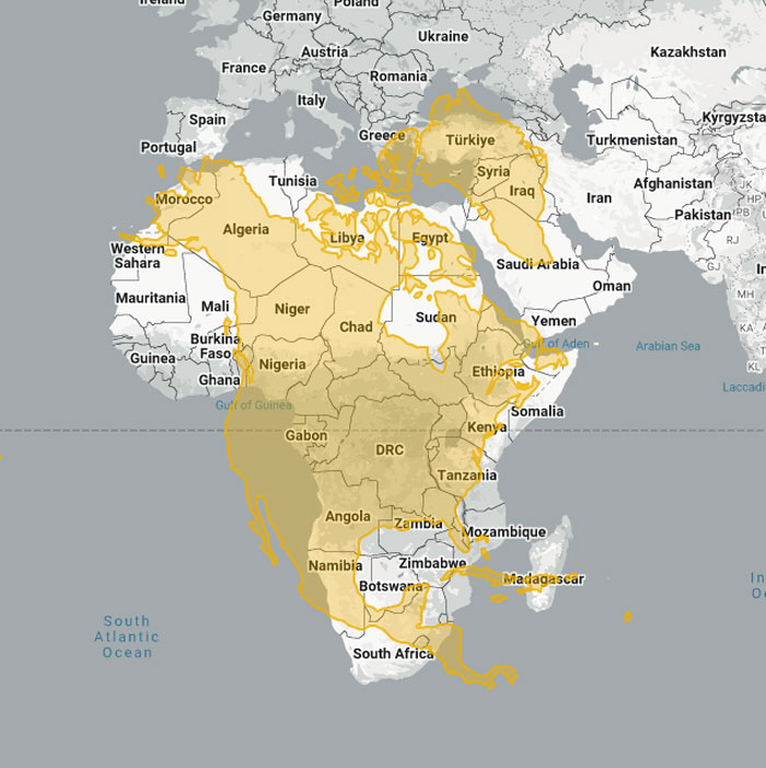 Woman Shows The Actual Scale Of The Continents, And It’s Crazier Than You Think
