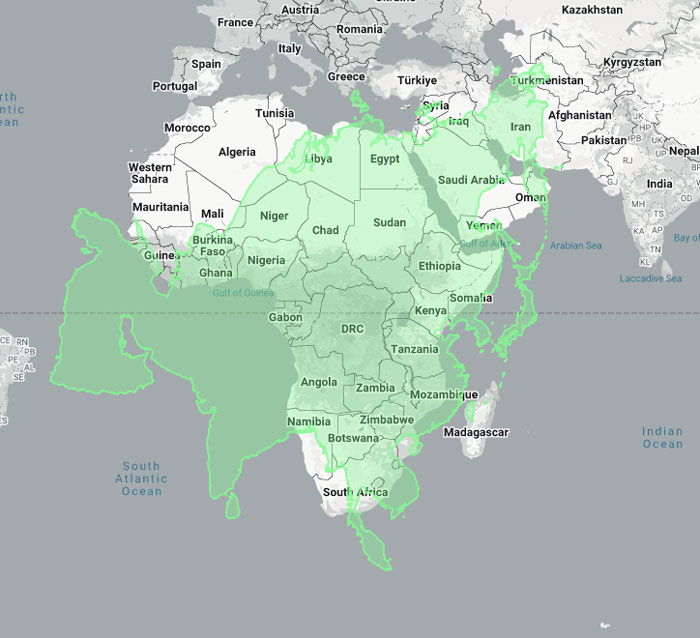 Woman Shows The Actual Scale Of The Continents, And It’s Crazier Than You Think