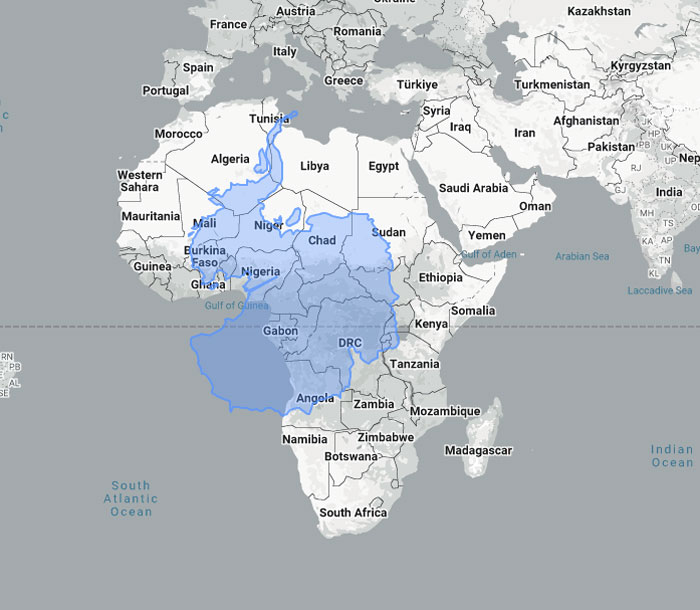 Woman Shows The Actual Scale Of The Continents, And It’s Crazier Than You Think