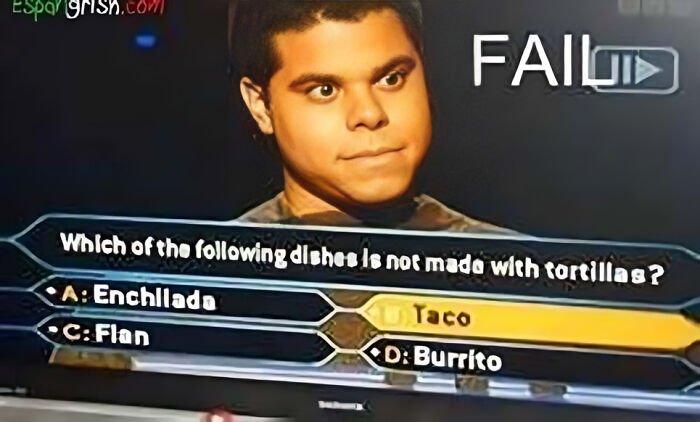 The 24 Dumbest Answers Ever On ‘Who Wants To Be A Millionaire?’