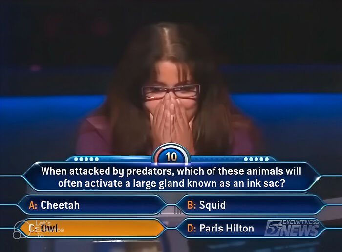 The 24 Dumbest Answers Ever On ‘Who Wants To Be A Millionaire?’
