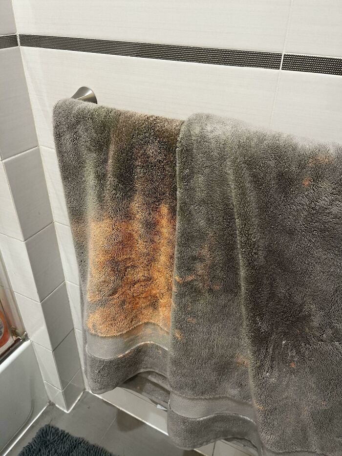 47 Times Men Came To A Woman’s Home And Completely Freaked Out