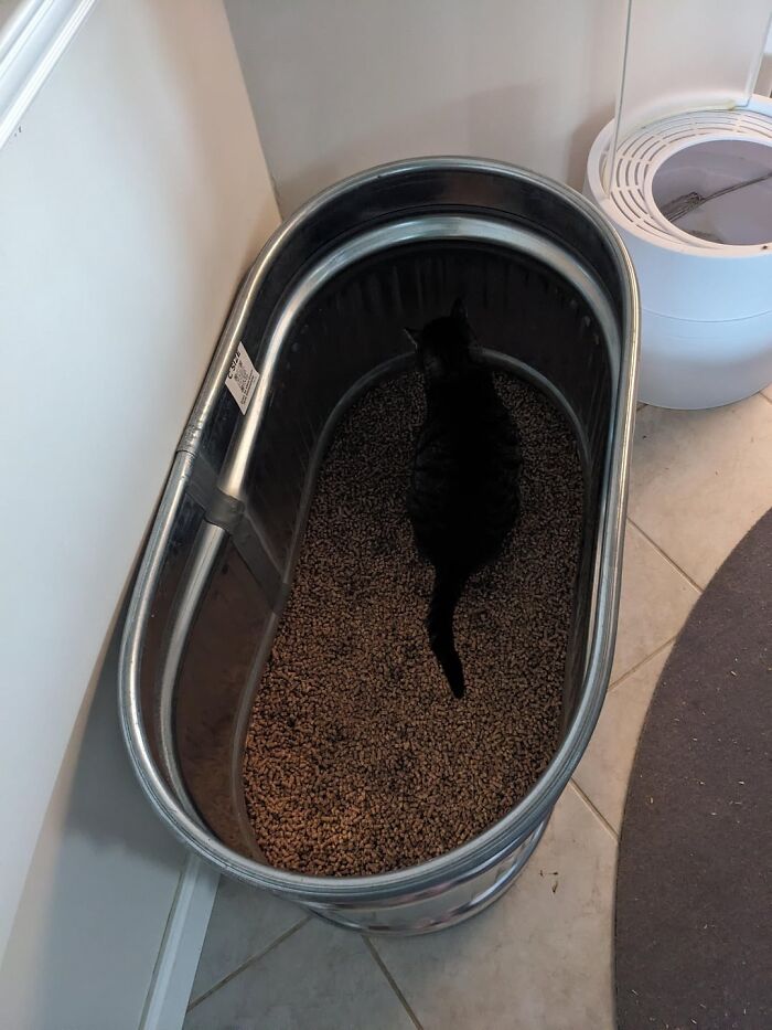 47 Times Men Came To A Woman’s Home And Completely Freaked Out