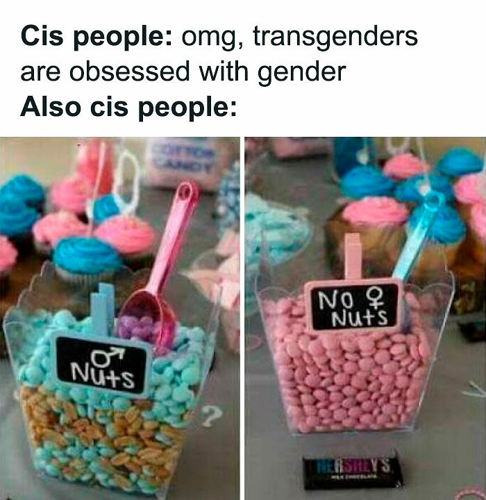 &ldquo;A New Low For Stupid&rdquo;: 78 Gender Reveal Moments That Already Have People Judging The Parents
