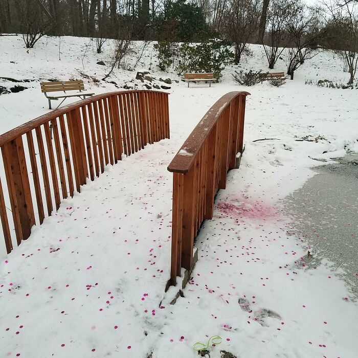 &ldquo;A New Low For Stupid&rdquo;: 78 Gender Reveal Moments That Already Have People Judging The Parents