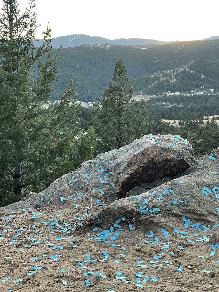 &ldquo;A New Low For Stupid&rdquo;: 78 Gender Reveal Moments That Already Have People Judging The Parents