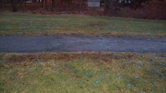 &ldquo;A New Low For Stupid&rdquo;: 78 Gender Reveal Moments That Already Have People Judging The Parents
