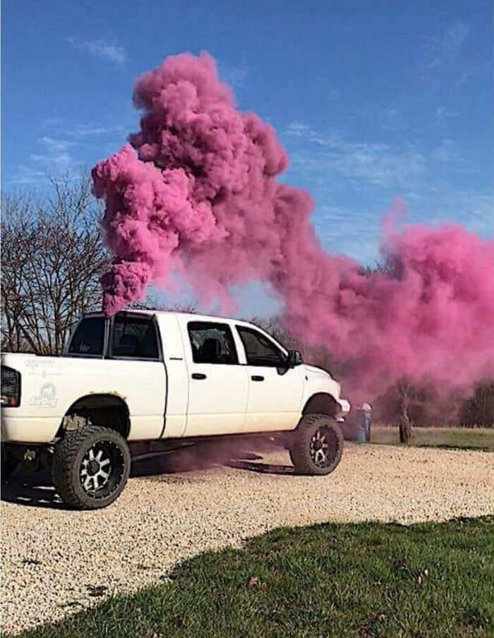 &ldquo;A New Low For Stupid&rdquo;: 78 Gender Reveal Moments That Already Have People Judging The Parents