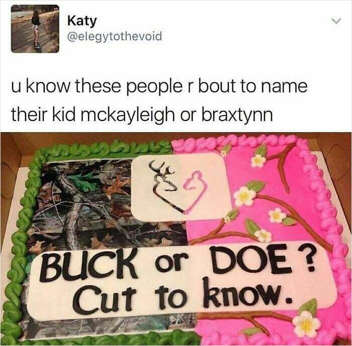 &ldquo;A New Low For Stupid&rdquo;: 78 Gender Reveal Moments That Already Have People Judging The Parents