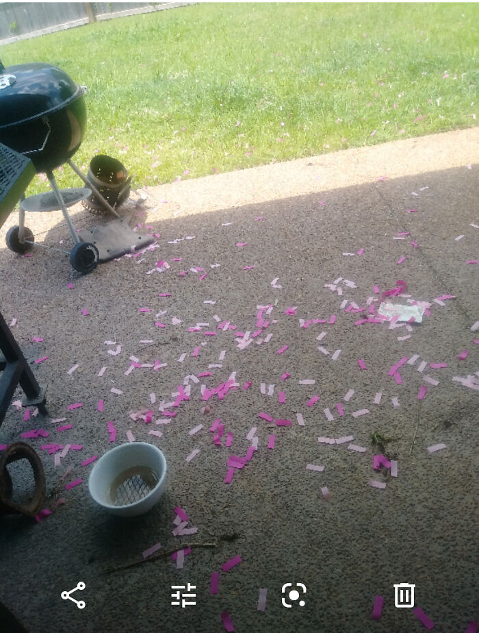 &ldquo;A New Low For Stupid&rdquo;: 78 Gender Reveal Moments That Already Have People Judging The Parents