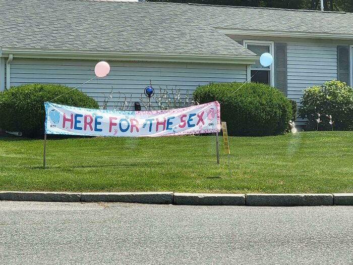 &ldquo;A New Low For Stupid&rdquo;: 78 Gender Reveal Moments That Already Have People Judging The Parents