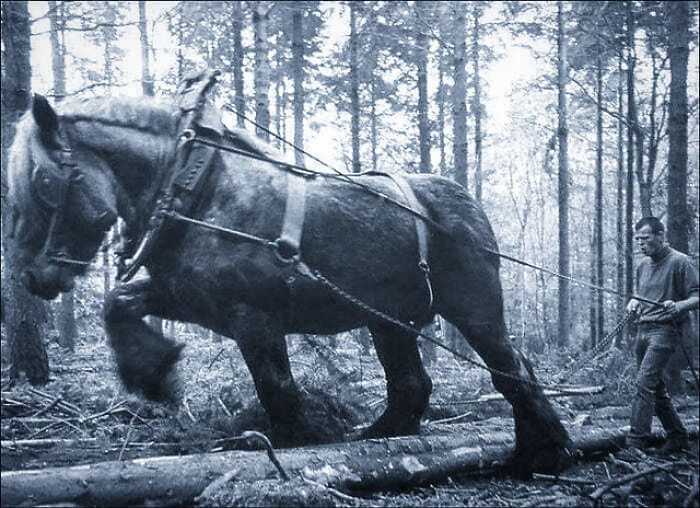 101 Fascinating Historical Photos That Tell Incredible Stories 101 Fascinating Historical Photos That Tell Incredible Stories