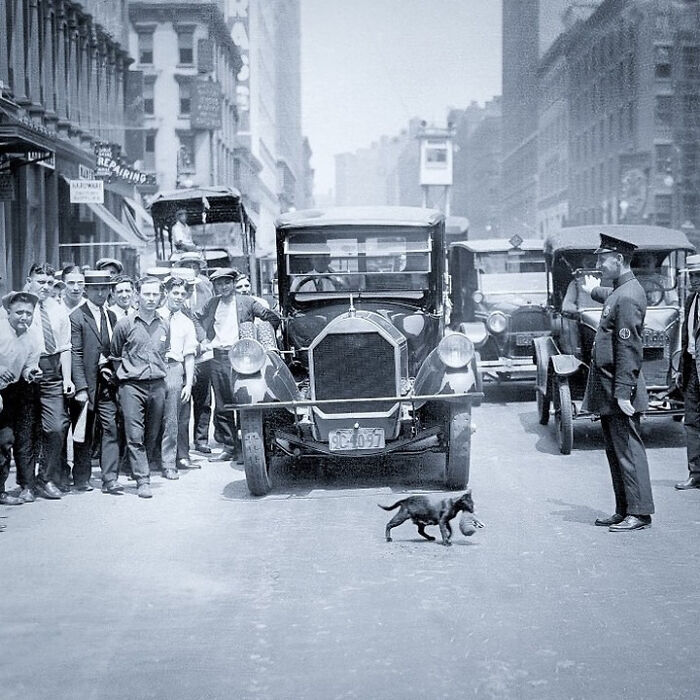 101 Fascinating Historical Photos That Tell Incredible Stories 101 Fascinating Historical Photos That Tell Incredible Stories