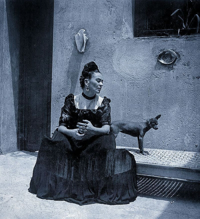 101 Fascinating Historical Photos That Tell Incredible Stories 101 Fascinating Historical Photos That Tell Incredible Stories
