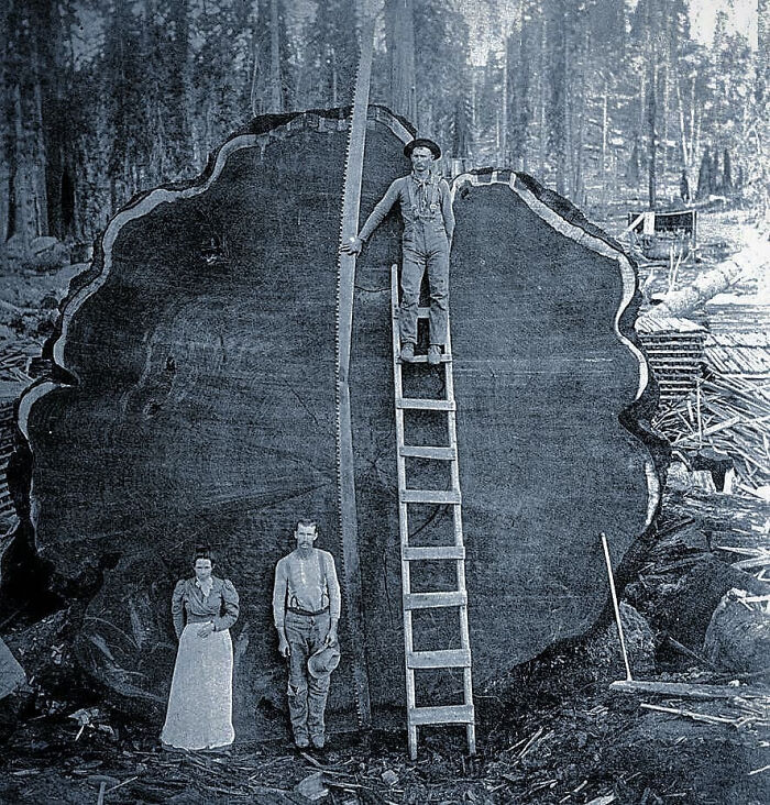 101 Fascinating Historical Photos That Tell Incredible Stories 101 Fascinating Historical Photos That Tell Incredible Stories