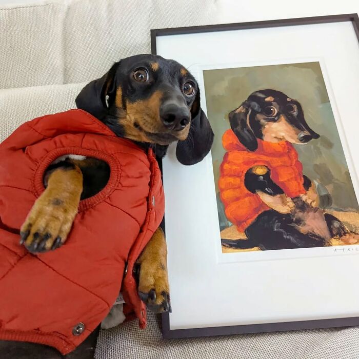 ‘We Rate Dogs’: 40 Photos That Prove Every Pup Deserves A 10/10 ‘We Rate Dogs’: 40 Photos That Prove Every Pup Deserves A 10/10