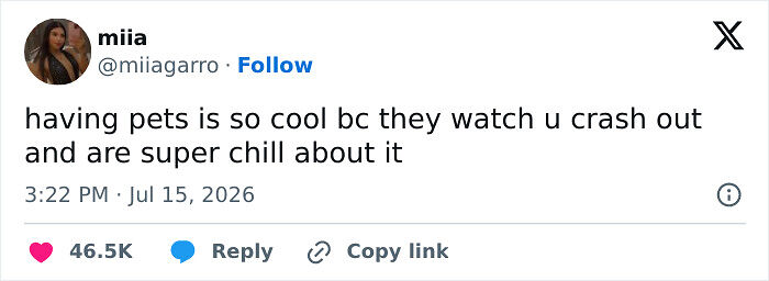 77 Funny And Unhinged Tweets That Defined July On The Internet 77 Funny And Unhinged Tweets That Defined July On The Internet