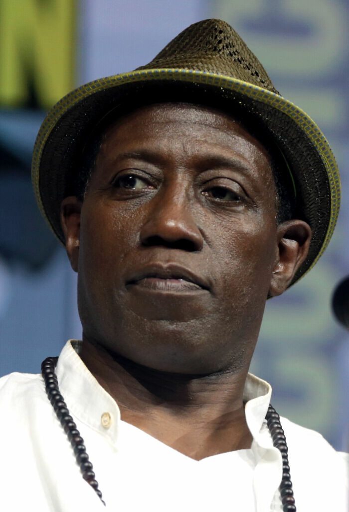 Wesley Snipes: Bio And Career Highlights Wesley Snipes: Bio And Career Highlights