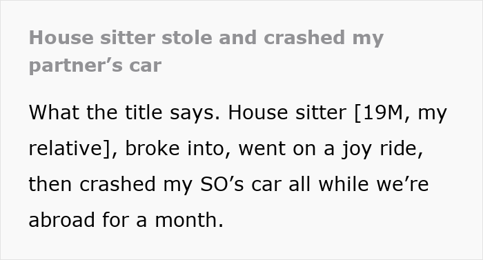 Couple Trust Their Home To A House Sitter While Abroad, End Up With A Crashed Car And A Lost Cat