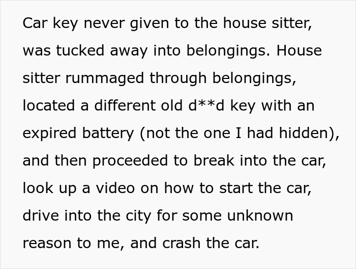 Couple Trust Their Home To A House Sitter While Abroad, End Up With A Crashed Car And A Lost Cat
