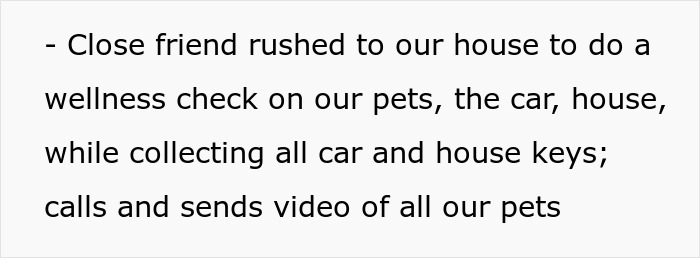 Couple Trust Their Home To A House Sitter While Abroad, End Up With A Crashed Car And A Lost Cat