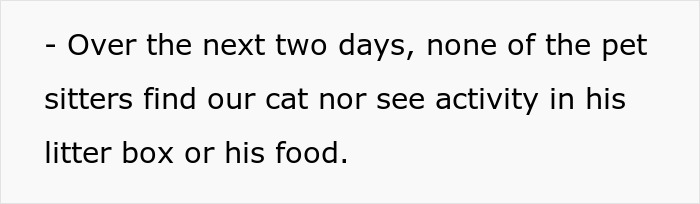 Couple Trust Their Home To A House Sitter While Abroad, End Up With A Crashed Car And A Lost Cat