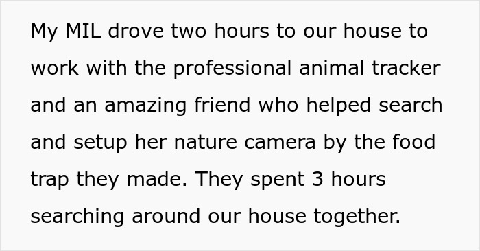 Couple Trust Their Home To A House Sitter While Abroad, End Up With A Crashed Car And A Lost Cat