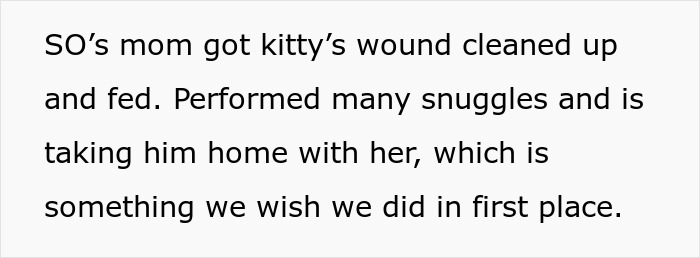 Couple Trust Their Home To A House Sitter While Abroad, End Up With A Crashed Car And A Lost Cat