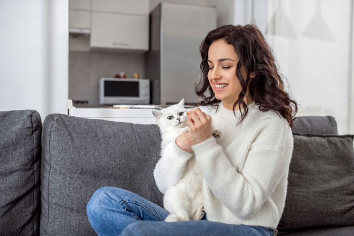 Couple Trust Their Home To A House Sitter While Abroad, End Up With A Crashed Car And A Lost Cat