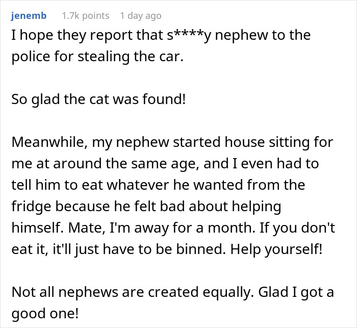 Couple Trust Their Home To A House Sitter While Abroad, End Up With A Crashed Car And A Lost Cat