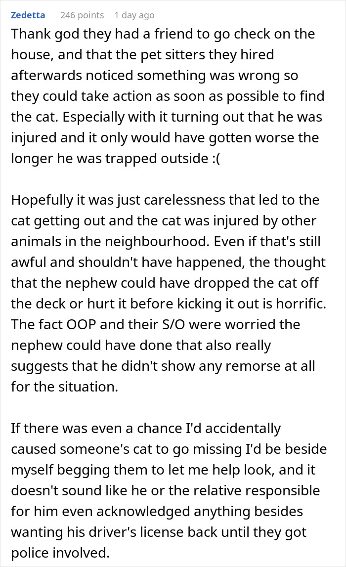 Couple Trust Their Home To A House Sitter While Abroad, End Up With A Crashed Car And A Lost Cat