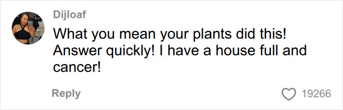 Man Left In Dire Medical Situation Needing A Transplant Because Of His 67 Plants, Expert Unveils Dangers Man Left In Dire Medical Situation Needing A Transplant Because Of His 67 Plants, Expert Unveils Dangers